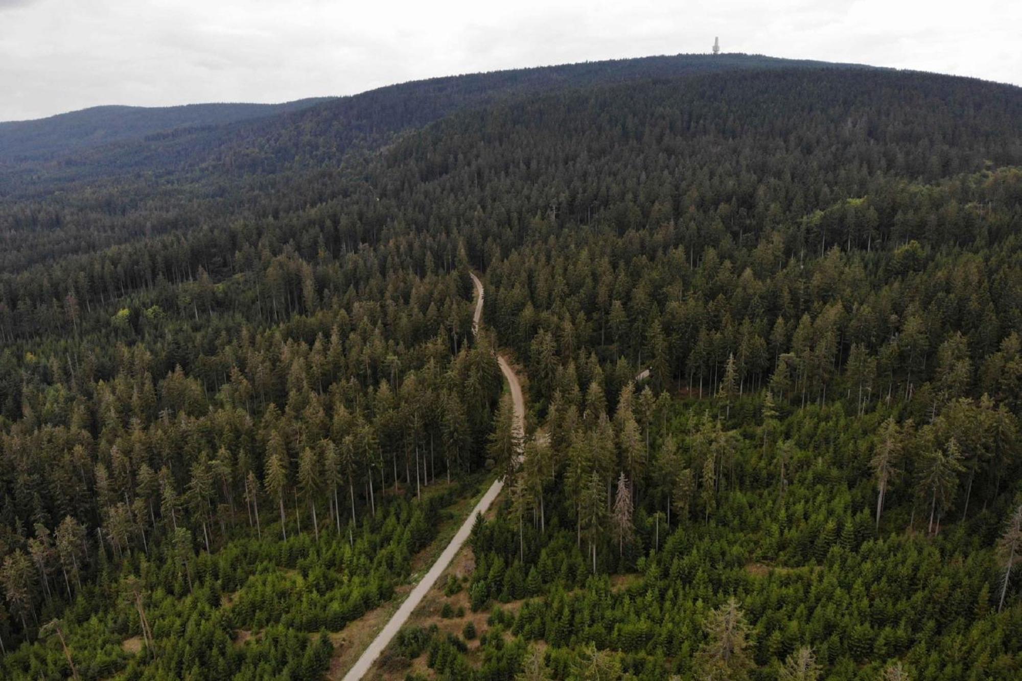 Panoramaapartment Am Ochsenkopf Bischofsgrün Buitenkant foto